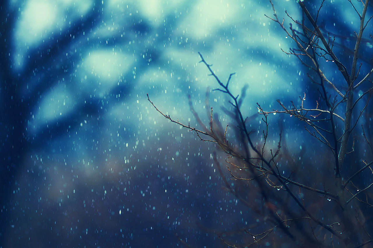 春誌2021（图ZMjU2NDk1MTM2） - 风光摄影 - 站酷设计师amhx原创素材 - 站酷ZCOOL