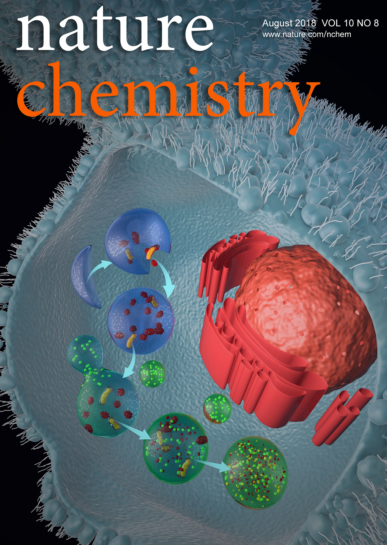 科研杂志封面创作—癌细胞自噬