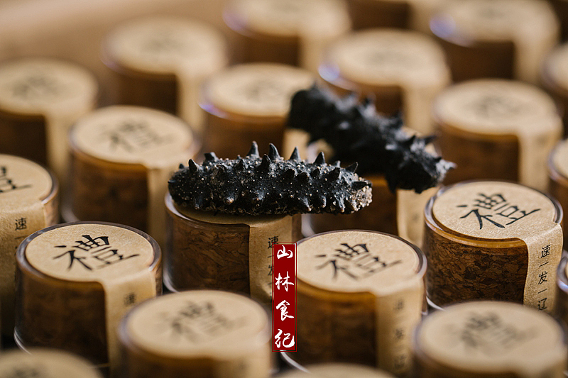 海参为礼 一爿赤诚（图ZMTIyOTk5MzIw） - 产品摄影 - 站酷设计师山林纪原创素材 - 站酷ZCOOL