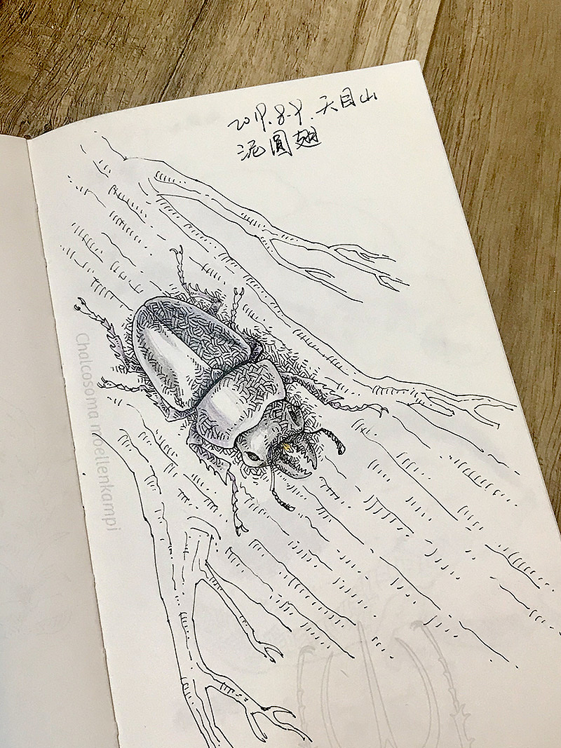 一本自然7（图ZMTkyODk4Mjgw） - 创作习作 - 站酷设计师xxxg00w0原创素材 - 站酷ZCOOL