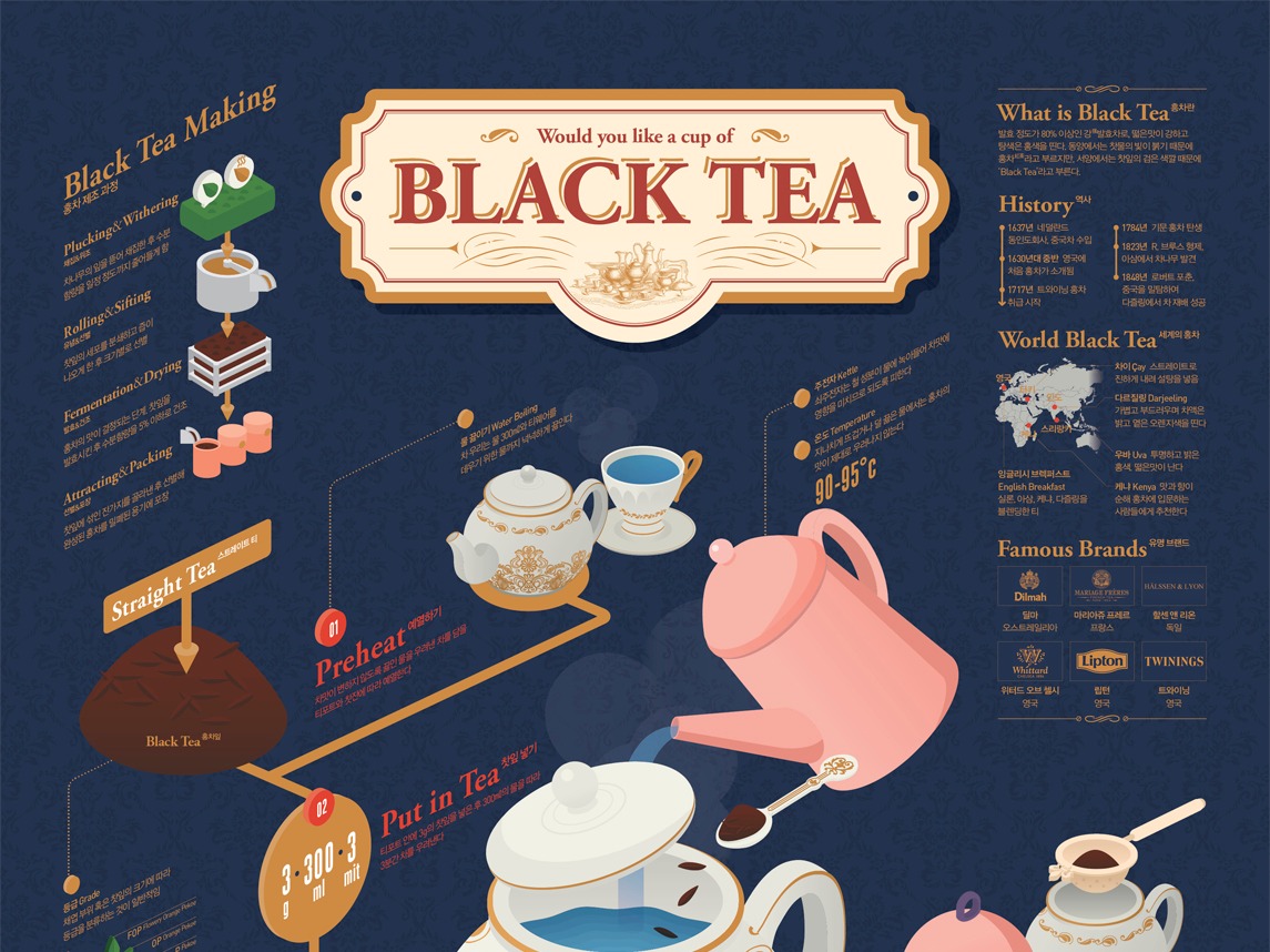 1704 Black tea Infographic Poster