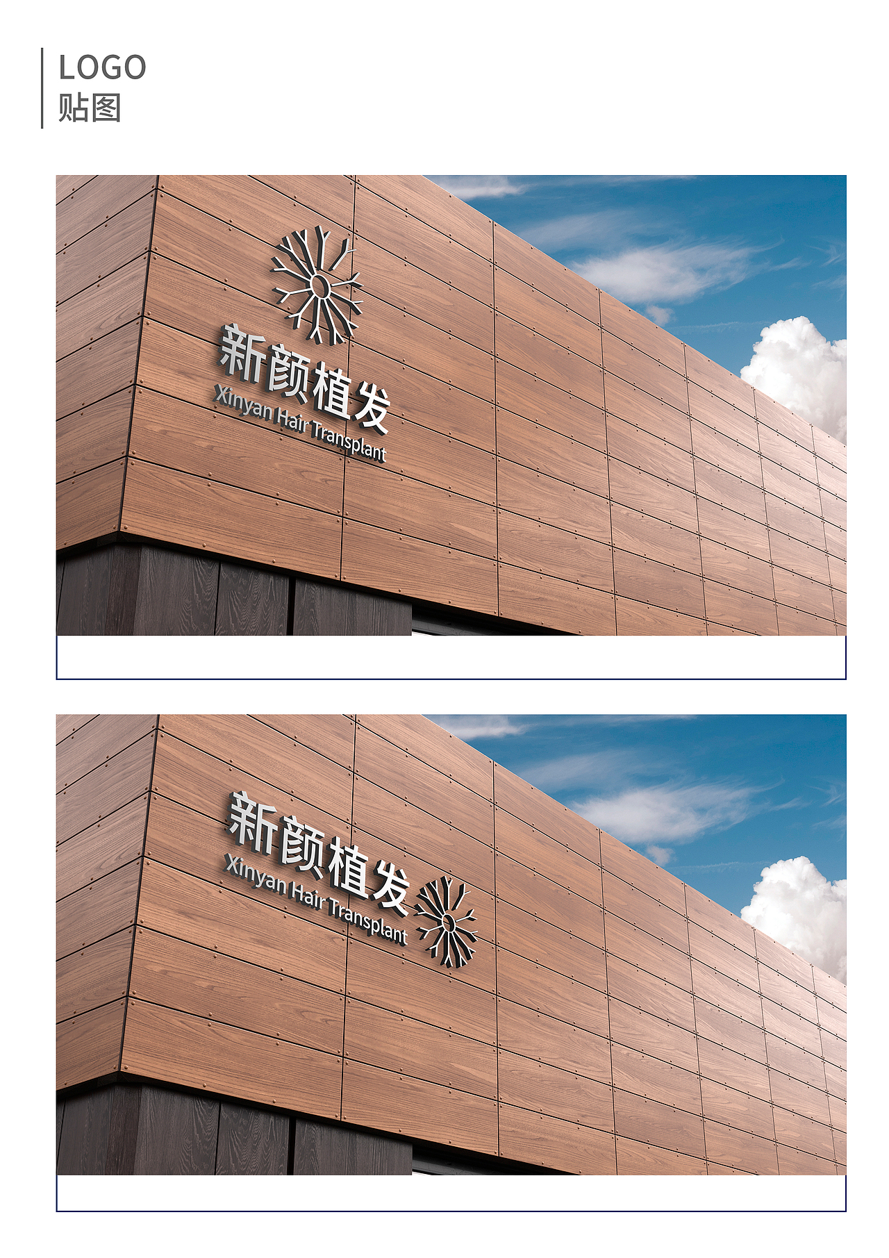 植发类  logo 设计