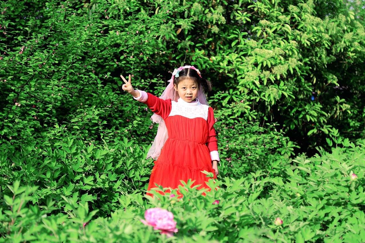 万绿丛中一点红