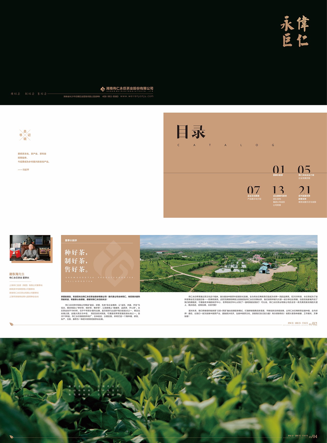茶叶企业画册