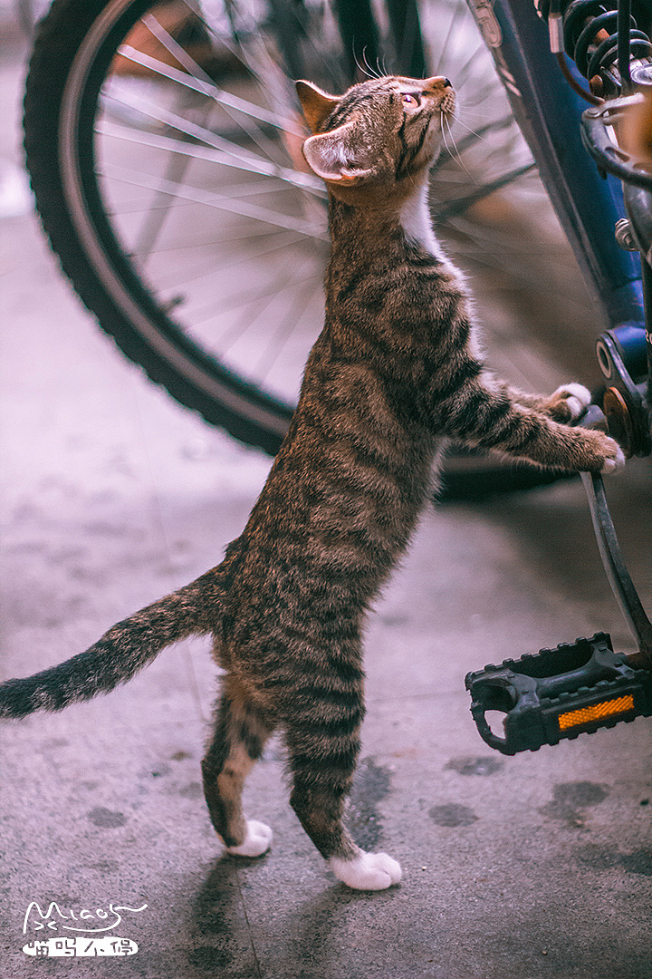 到底哪儿出毛病了呢?