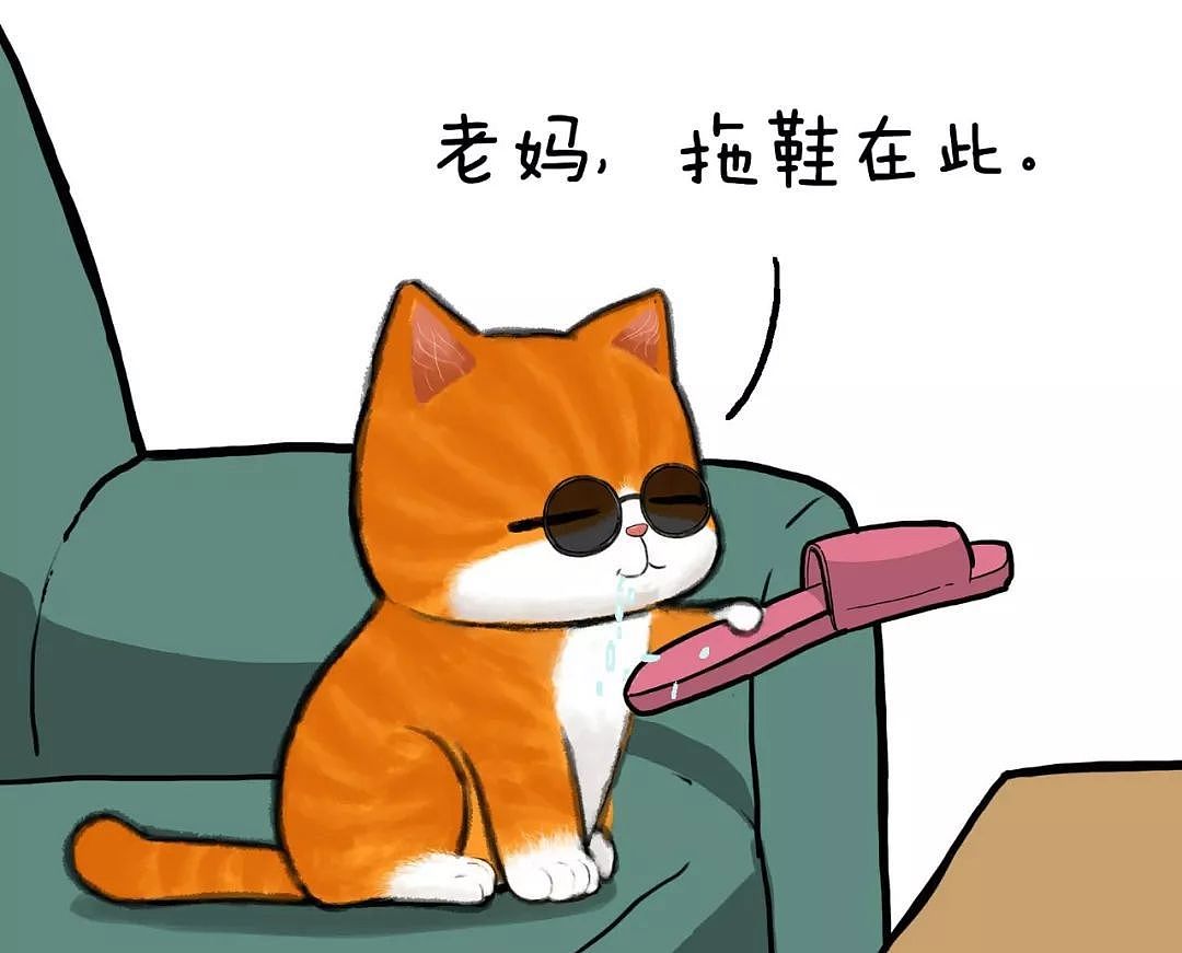 圣诞节礼物是自己?我有一个折中的办法。