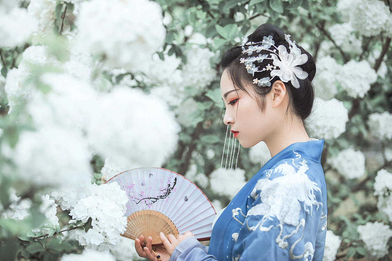 绣球（图ZMTU1MjY2NDM2） - 人像摄影 - 站酷设计师Hansiy原创素材 - 站酷ZCOOL