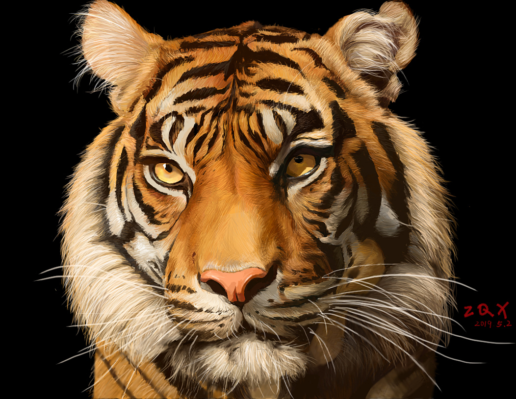 ps手绘练习【第四张】-小脑虎