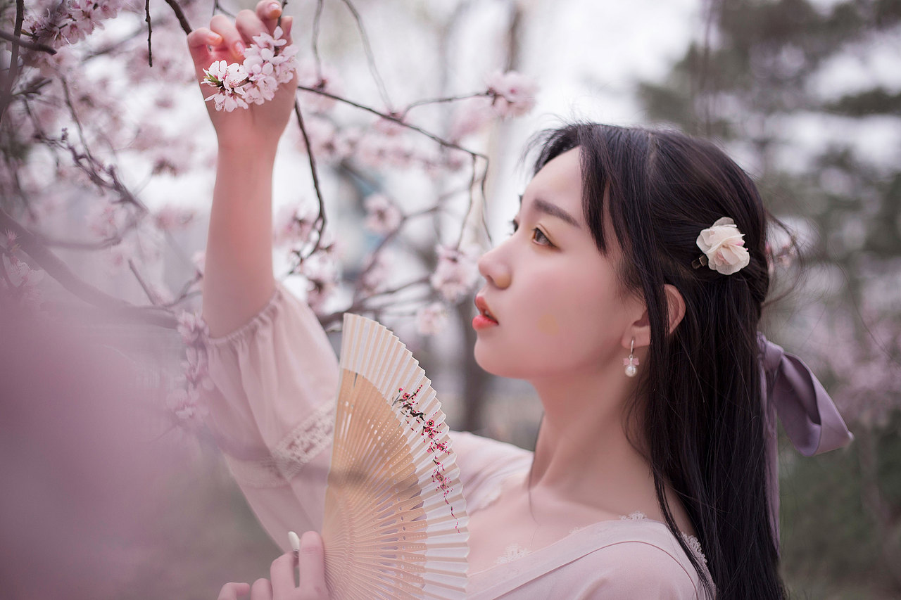 南国有佳人,容华若桃李