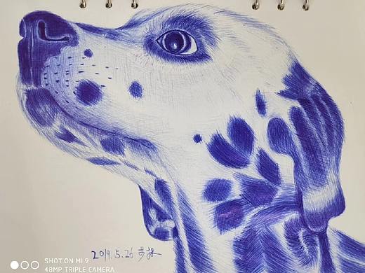 圆珠笔_斑点狗