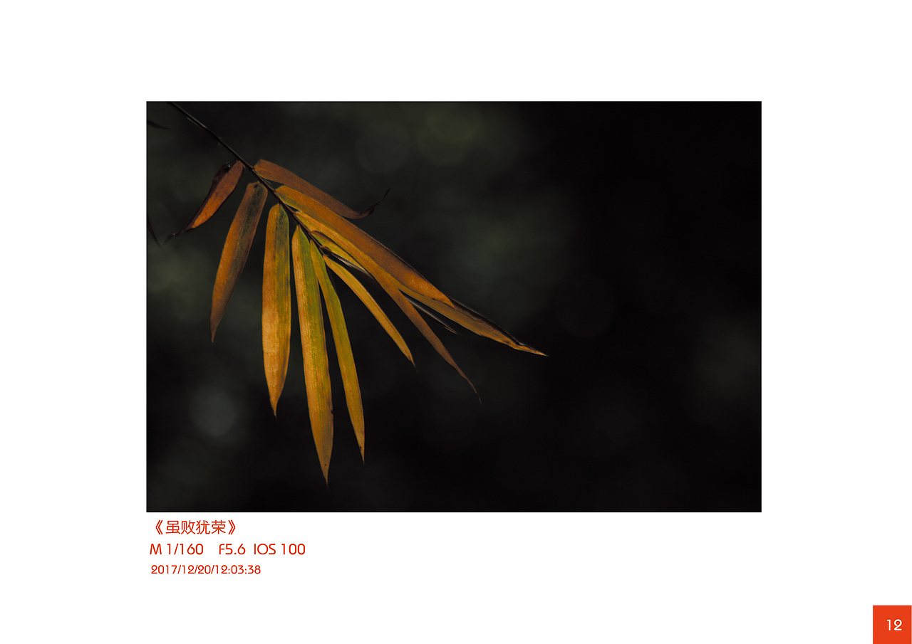 摄影课作业集（图ZMzE0Njg4Mzk2） - 风光摄影 - 站酷设计师Maxyang1900原创素材 - 站酷ZCOOL