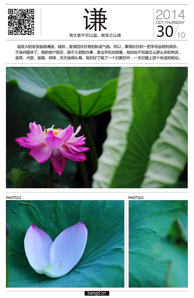 易朵莲花--《荷》摄影日记(图ZMjIxNjUxNzI=) - 风光摄影 - 站酷设计师午夜红茶原创素材 - 站酷ZCOOL