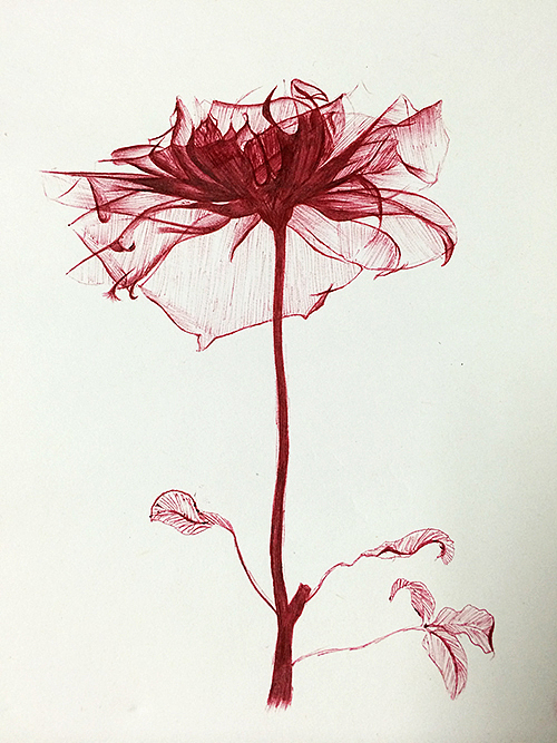 花圆珠笔画