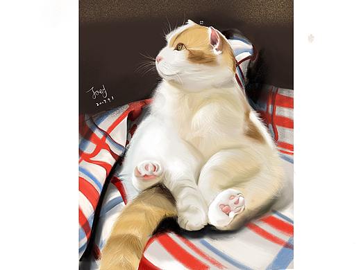 插画-肥猫