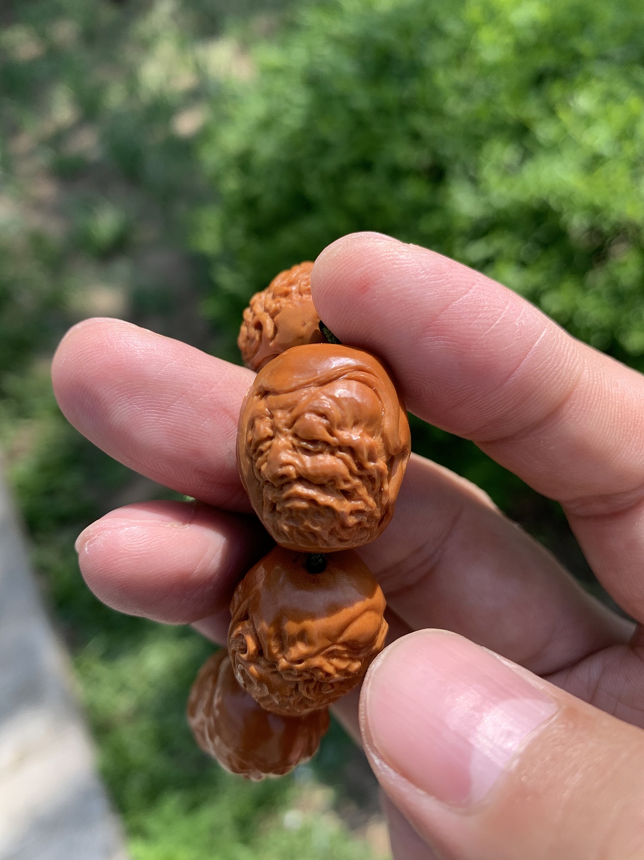 火红的双面十八罗汉!