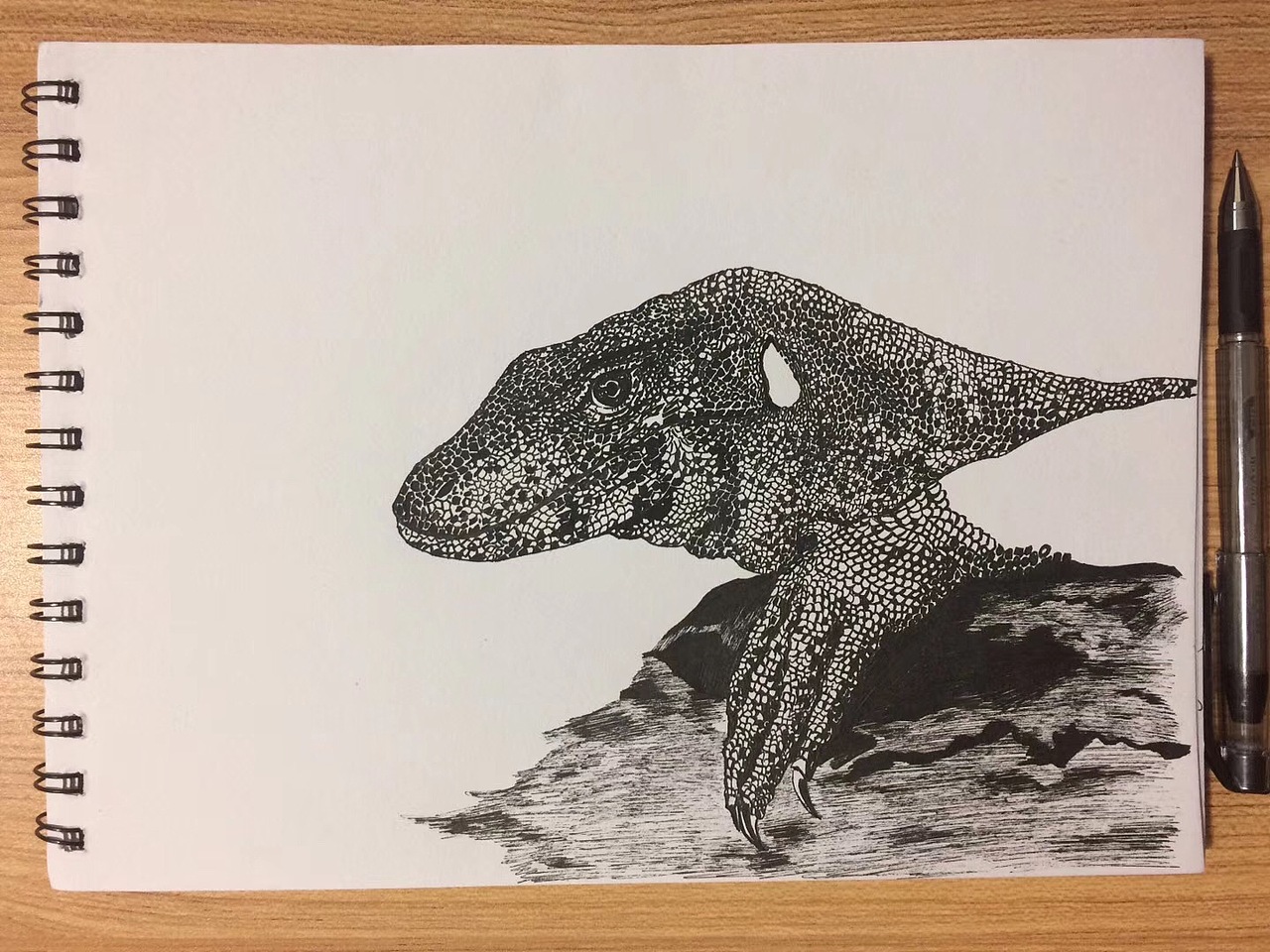 碳素笔巨蜥|纯艺术|绘画|马傻拉弟_原创作品-站酷zcool