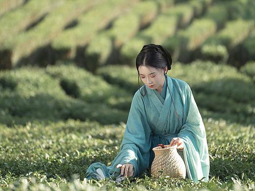 秀萃明湖游目客来过溪处