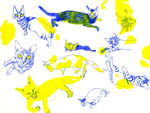【SKETCH ONE】猫咪速写大集合 1