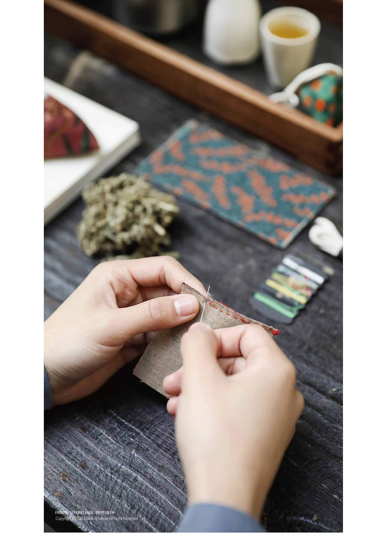 【仲夏花园】自然造物