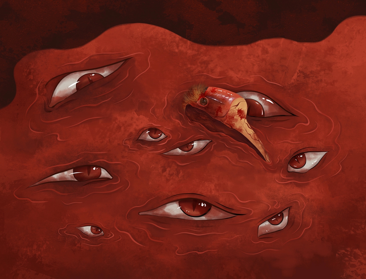 深渊——关于盔犀鸟