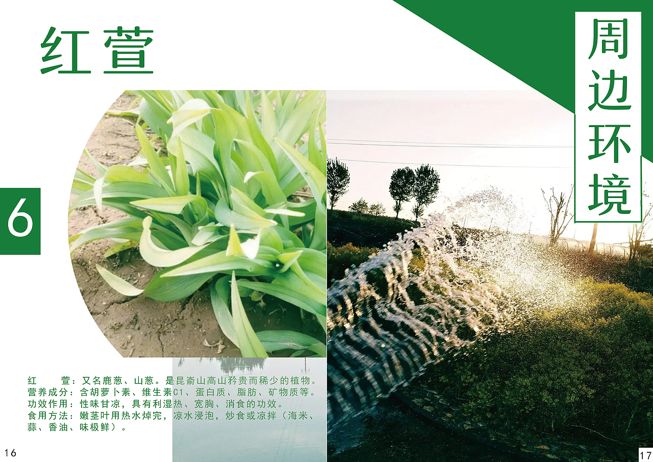 “山上有家”宣传册（图ZMTQ3MDEwMzYw） - 宣传物料 - 站酷设计师Z76745990原创素材 - 站酷ZCOOL