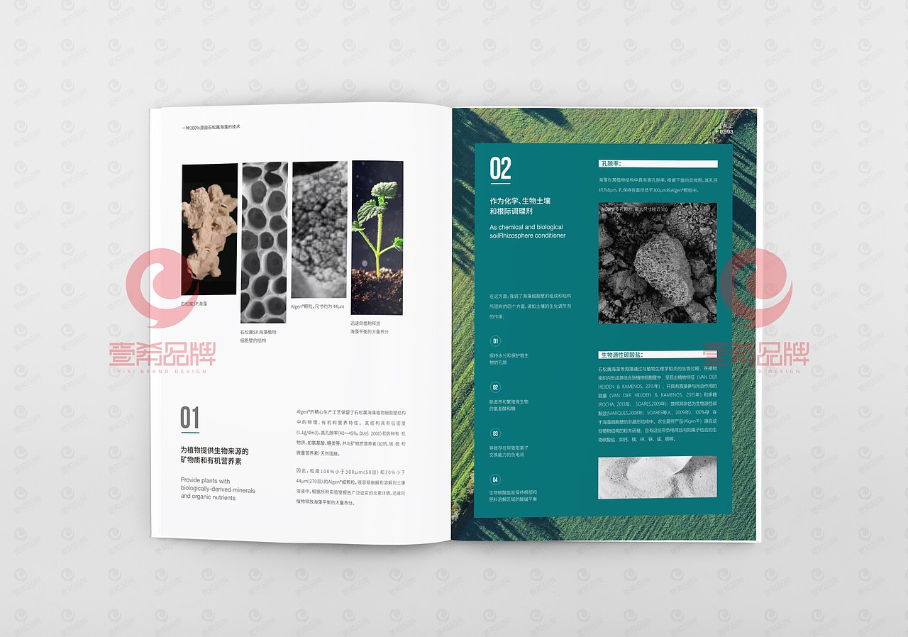 一希品牌设计--农业海藻科技公司画册宣传册设计（图ZMjA3ODExMTc2） - 书籍/画册 - 站酷设计师一希品牌设计原创素材 - 站酷ZCOOL