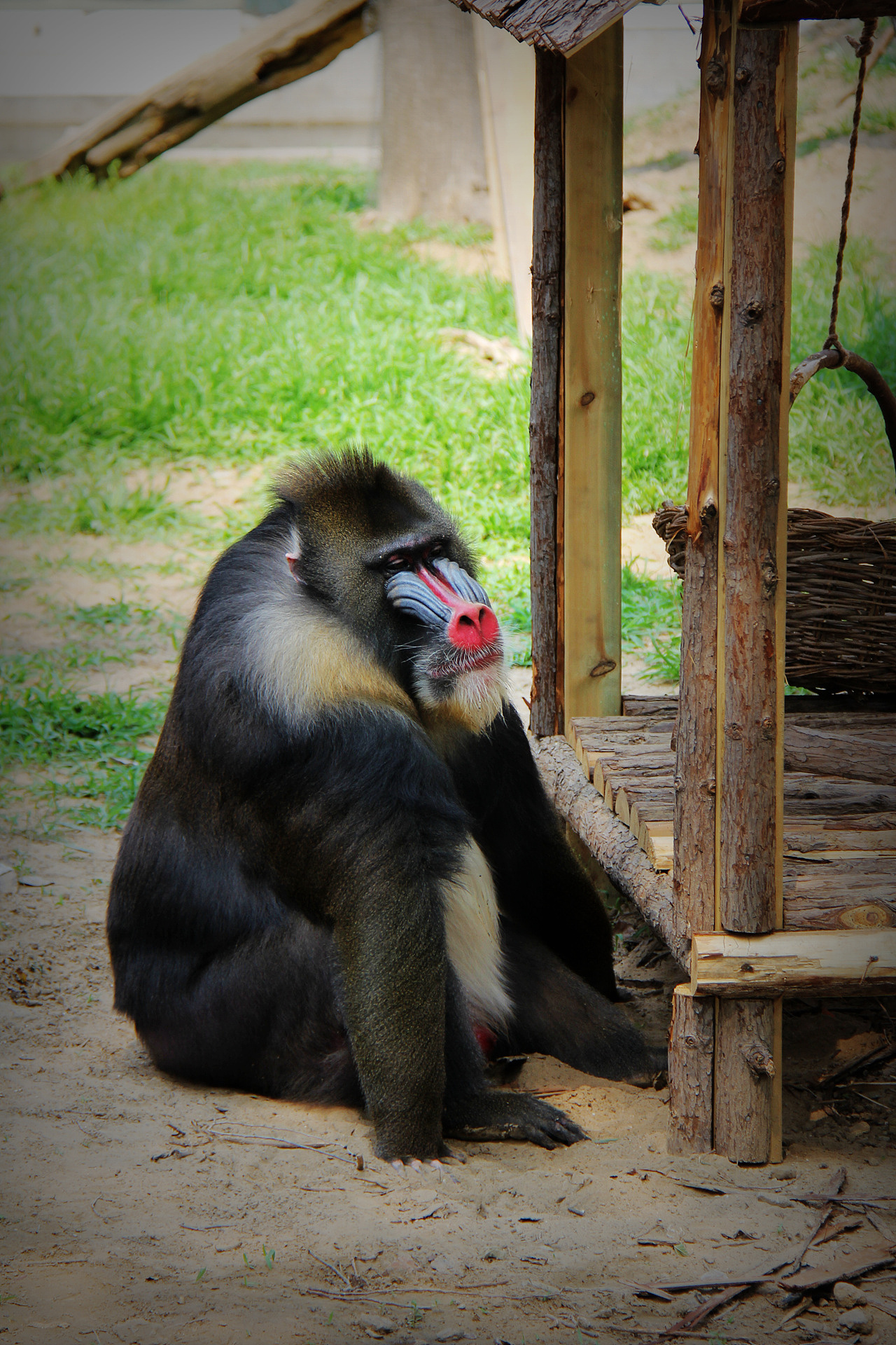 北京野生动物园
