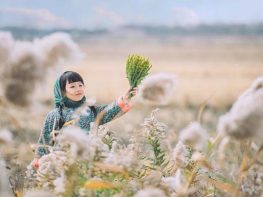 芦苇花的香