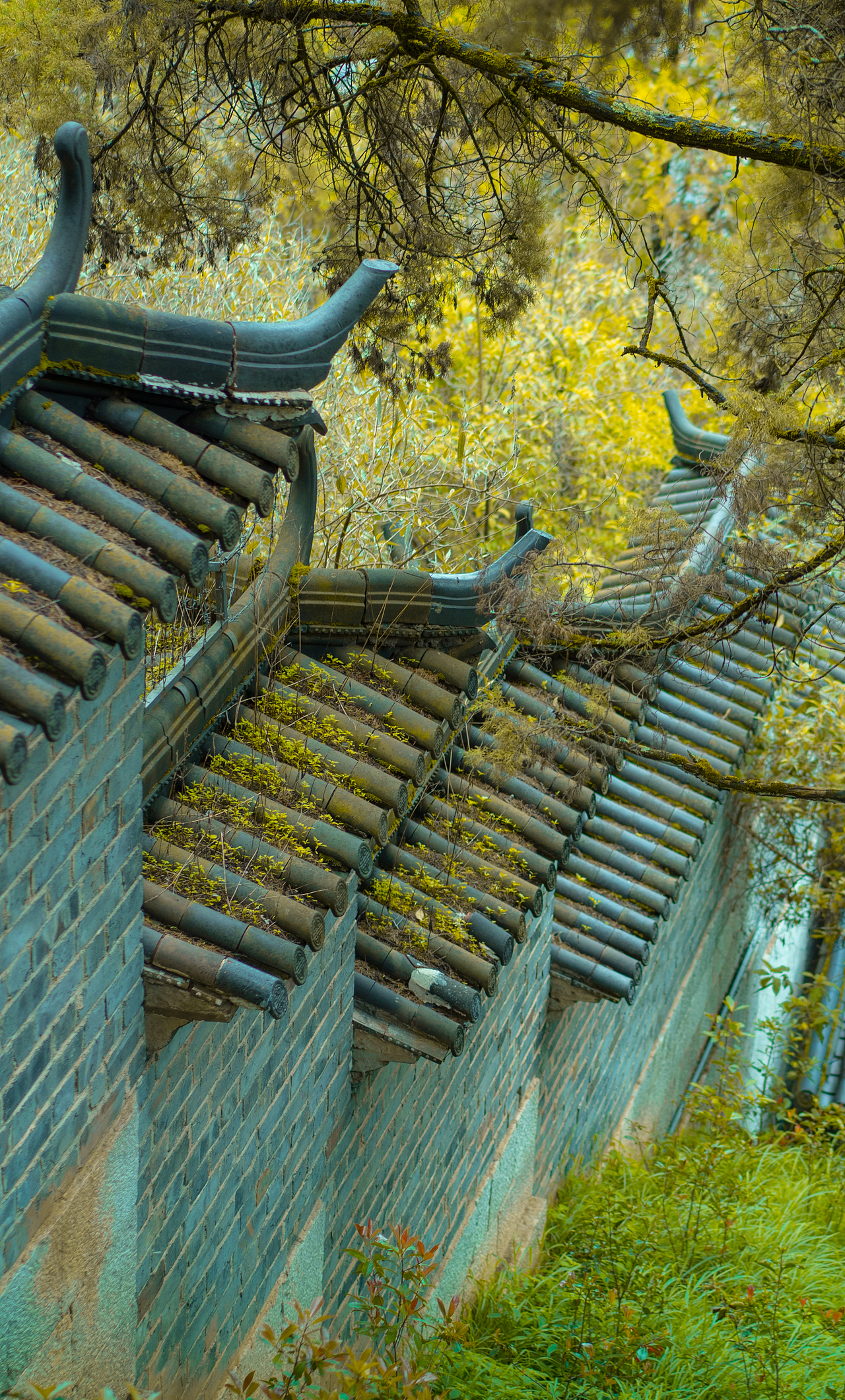 云南大山（图ZMzM2MzMwNDg=） - 风光摄影 - 站酷设计师ljkund原创素材 - 站酷ZCOOL