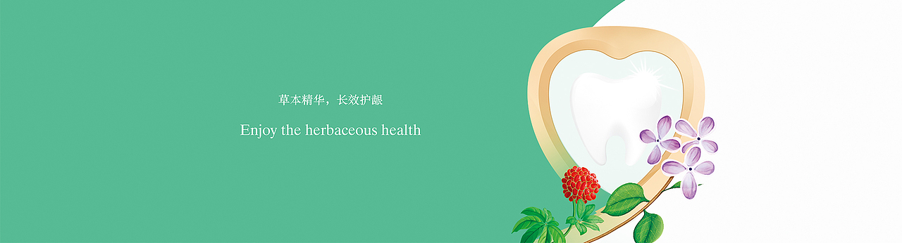 健世本草—草本护龈，长效固齿