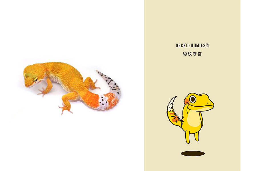 Gecko-Homies 小守宫的日常（单幅）（图ZMTA1MzY2Nzk2） - 商业插画 - 站酷设计师不明大肉块原创素材 - 站酷ZCOOL