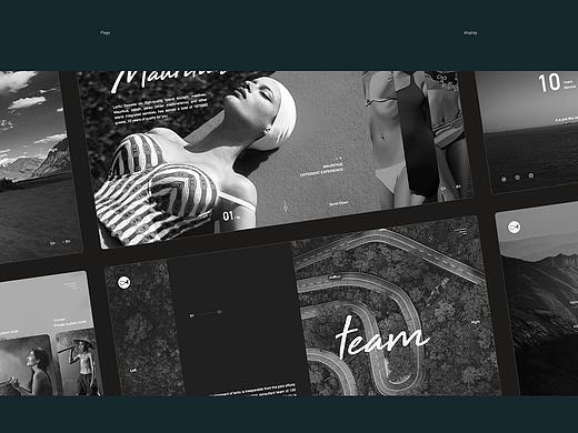 Web Collection