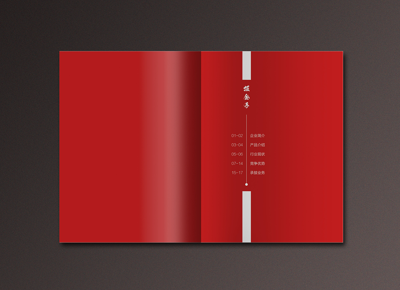 金融红色画册/手册