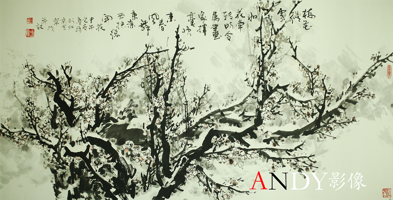 藝術(shù)化梅花寒梅攝影創(chuàng)作（圖ZOTA2MDMyMDA=） - 產(chǎn)品攝影 - 站酷設(shè)計(jì)師安迪影像原創(chuàng)素材 - 站酷ZCOOL