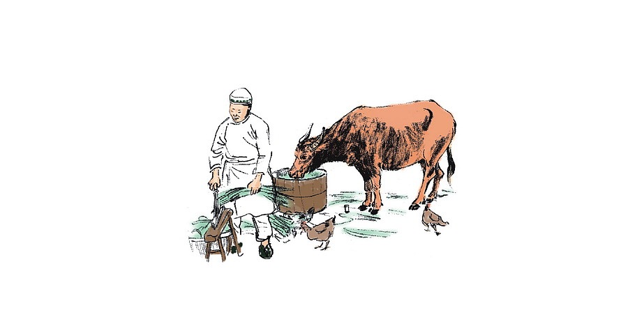 五香牛肉包装设计