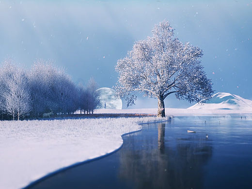 2021总结(凑热闹)