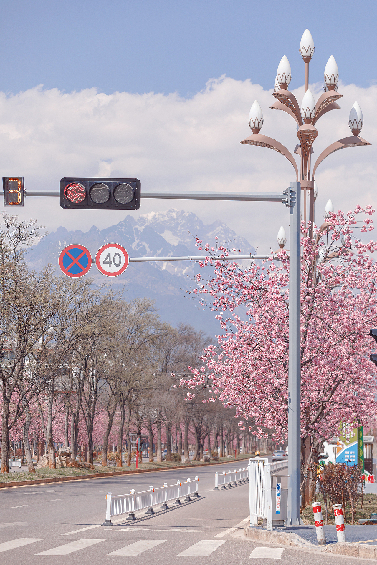 櫻花??盛開（圖ZMjk5MzM5MTc2） - 風光攝影 - 站酷設計師chao666原創(chuàng)素材 - 站酷ZCOOL