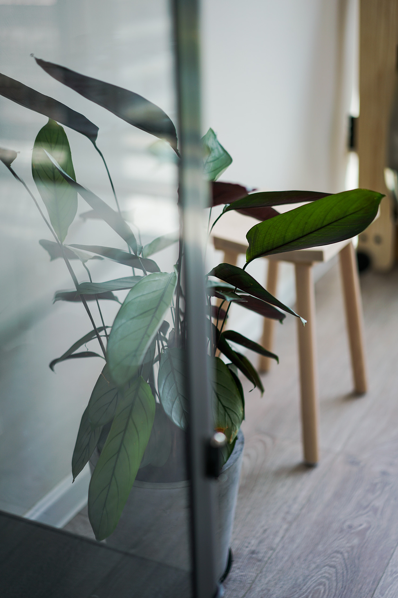 摄影师的loft工作室