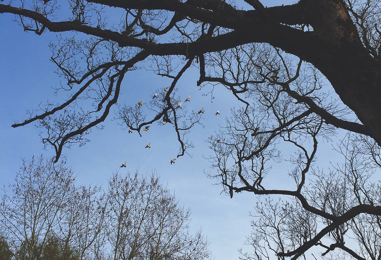 2016.03.10 摄于江西景德镇,使用苹果6拍摄