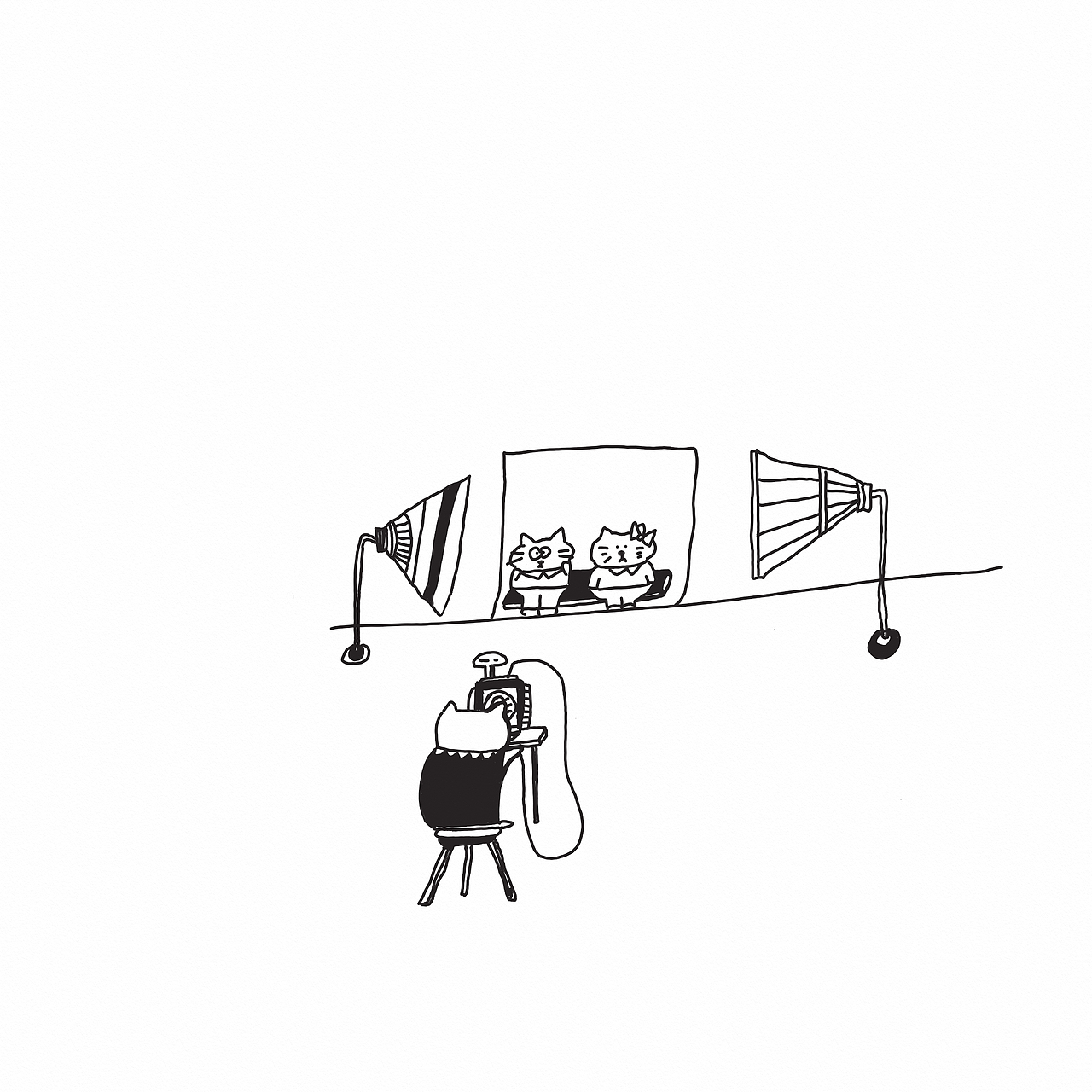 上进猫-日常可爱