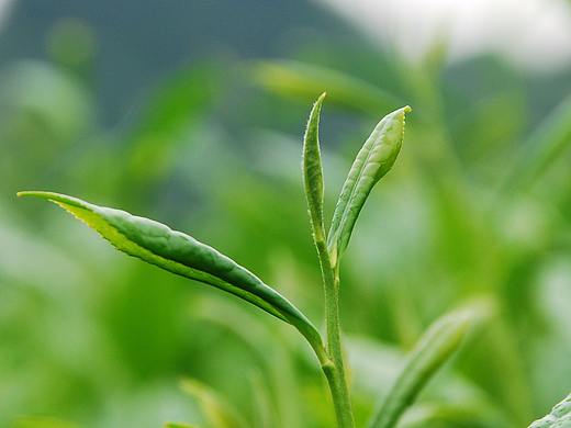 5（個人主頁-ZMzM2NzQxNDQ=） - 其他 - 站酷設(shè)計師小小魯原創(chuàng)素材 - 站酷ZCOOL