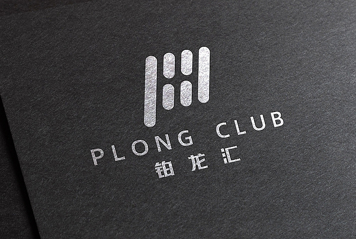 铂龙汇案例（峰尚品牌数字营销）