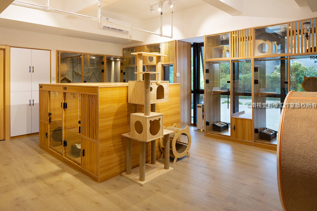 南京仙林宠物店室内照片南京空间摄影南京空间拍摄