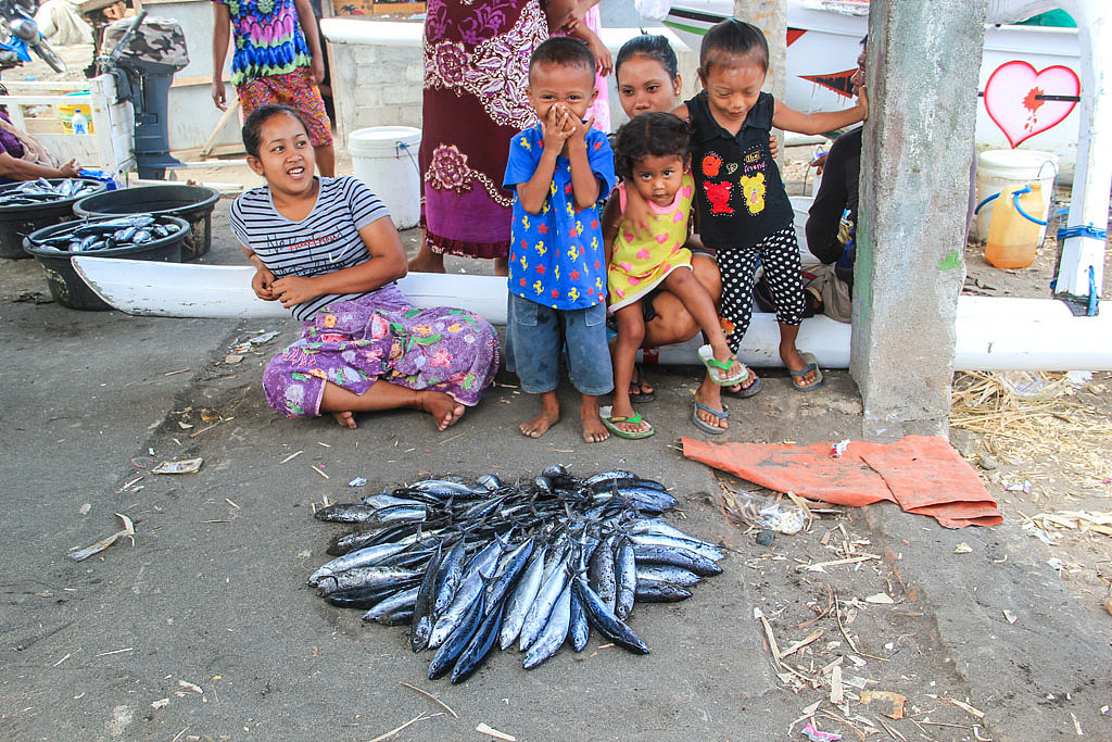 不一样的龙目岛