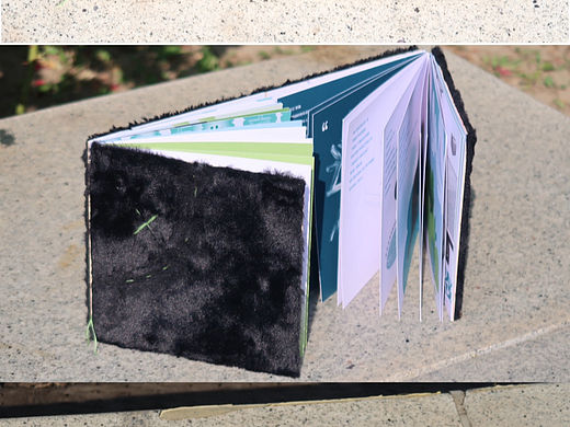 一只黑猫的手工书🐈⬛