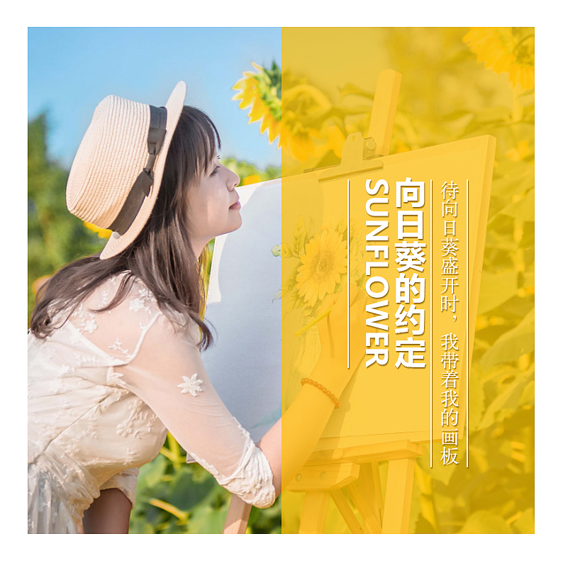 《向日葵的约定》