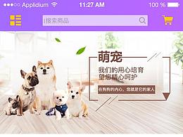 app首页
