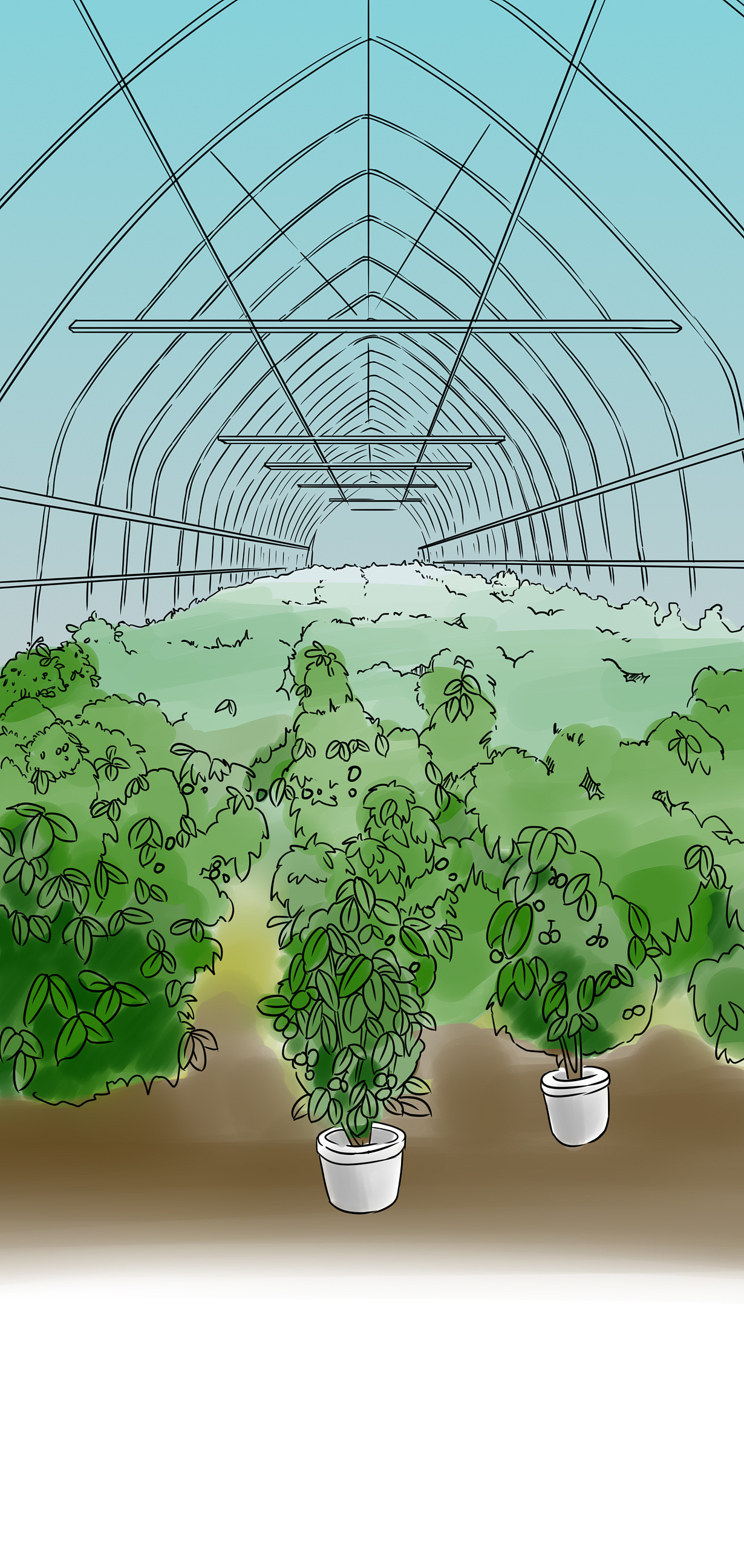 手繪分鏡-場景概念（圖ZMjA0MjY4OTky） - 設(shè)定/分鏡 - 站酷設(shè)計(jì)師燈鯊原創(chuàng)素材 - 站酷ZCOOL