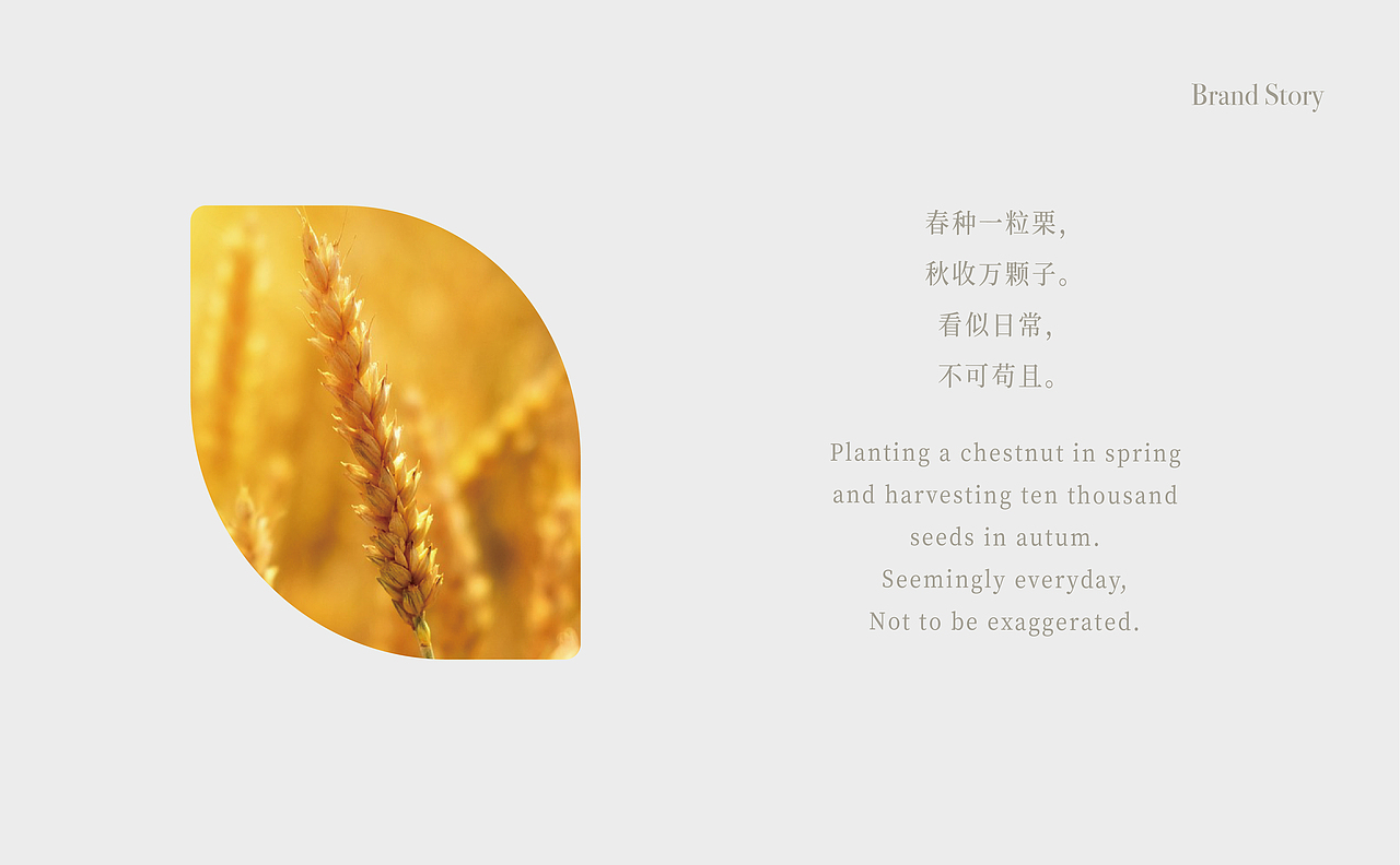 平面设计-悦谷朵品牌全案设计（图ZMTg2Njg3MDg4） - 品牌 - 站酷设计师澄艺设原创素材 - 站酷ZCOOL