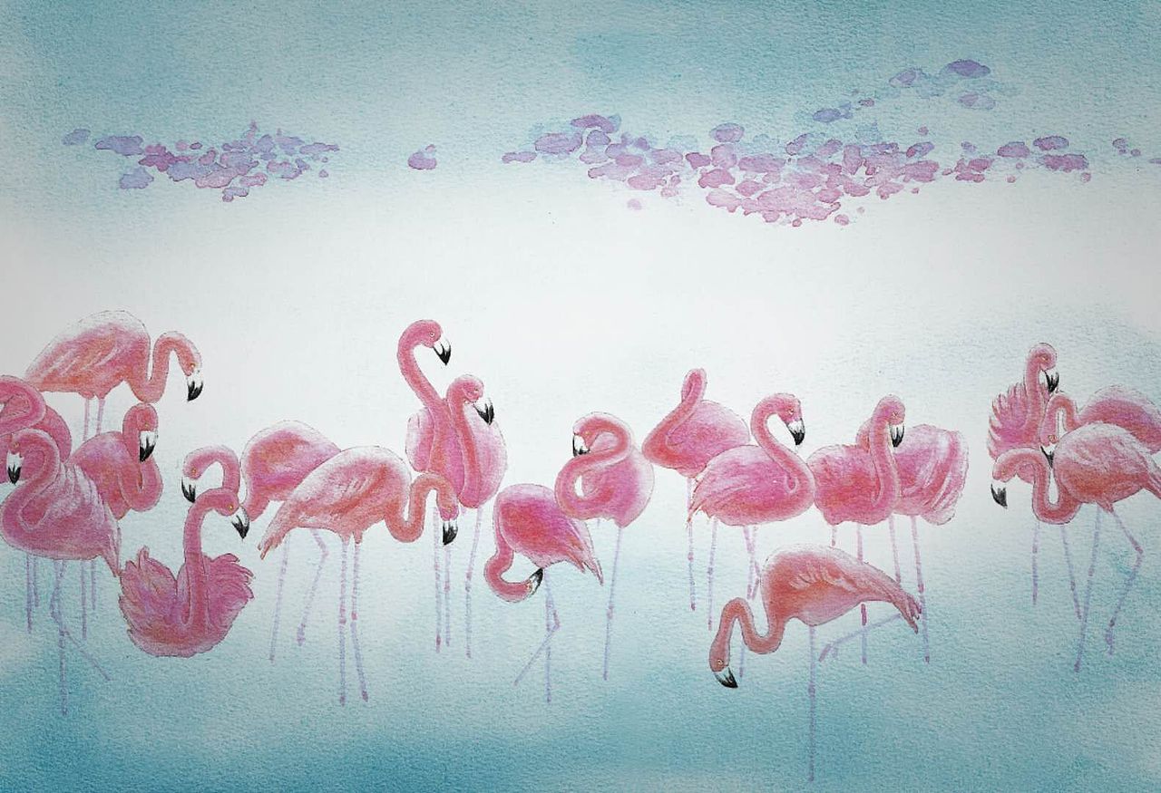 音符—火烈鸟|纯艺术|绘画|王玉婷老师_原创作品-站酷zcool